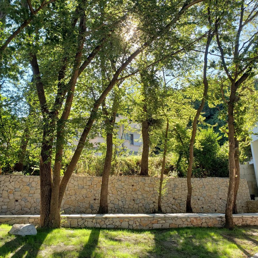 Green Hill Apartments 울친 외부 사진